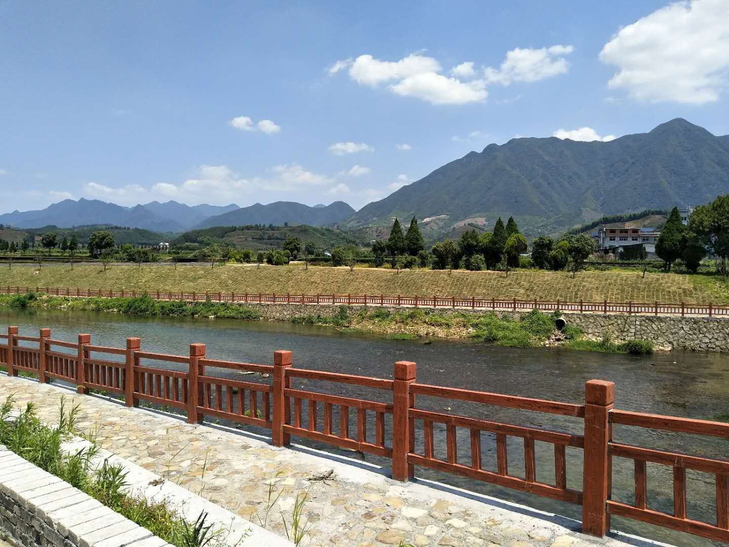 在生活隨處可見護欄的身影